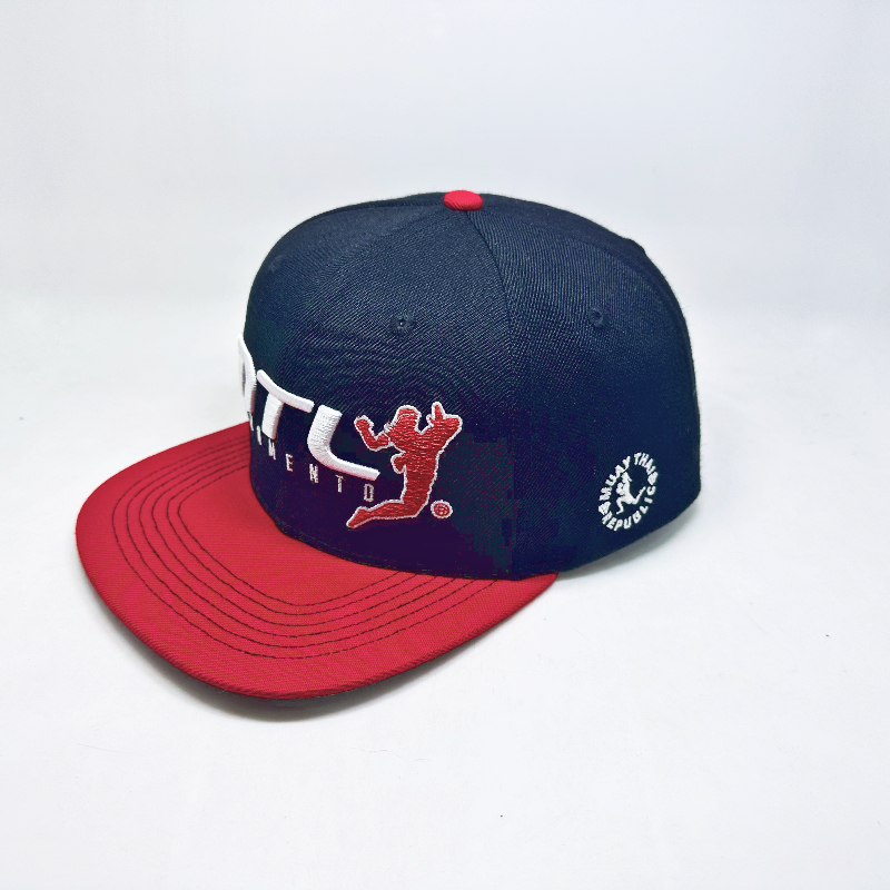 Customized High Quality Snapback Hats with 3D Emboridery Logo